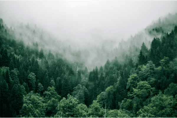 adventurous merchandise adventurous merchandise